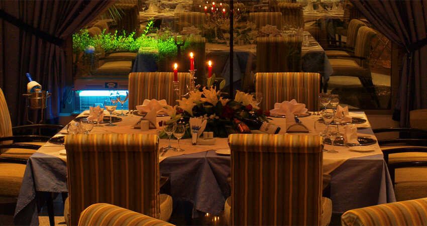 Hidden Flavors of Khobar: Secret Restaurants You Need to Try!